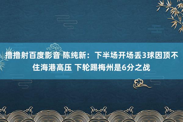 撸撸射百度影音 陈纯新：下半场开场丢3球因顶不住海港高压 下轮踢梅州是6分之战