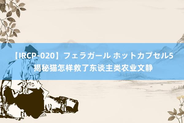 【IRCP-020】フェラガール ホットカプセル5 揭秘猫怎样救了东谈主类农业文静