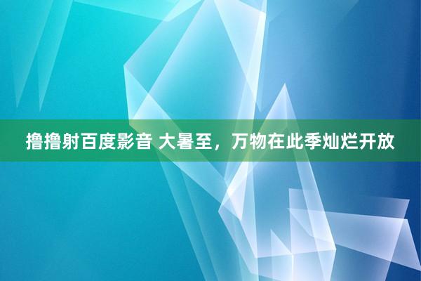 撸撸射百度影音 大暑至，万物在此季灿烂开放