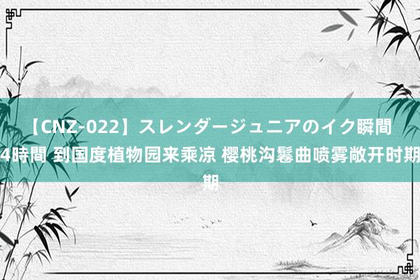 【CNZ-022】スレンダージュニアのイク瞬間 4時間 到国度植物园来乘凉 樱桃沟鬈曲喷雾敞开时期