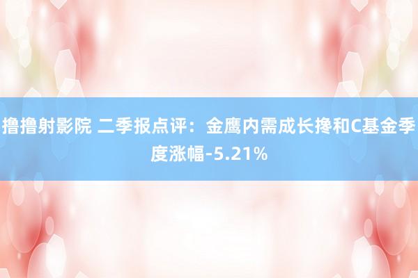 撸撸射影院 二季报点评：金鹰内需成长搀和C基金季度涨幅-5.21%