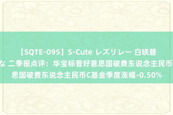 【SQTE-095】S-Cute レズリレー 白咲碧 瞳 有本沙世 彩城ゆりな 二季报点评：华宝标普好意思国破费东说念主民币C基金季度涨幅-0.50%