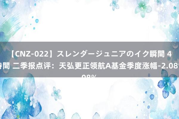 【CNZ-022】スレンダージュニアのイク瞬間 4時間 二季报点评：天弘更正领航A基金季度涨幅-2.08%