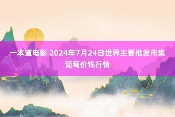 一本道电影 2024年7月24日世界主要批发市集葡萄价钱行情