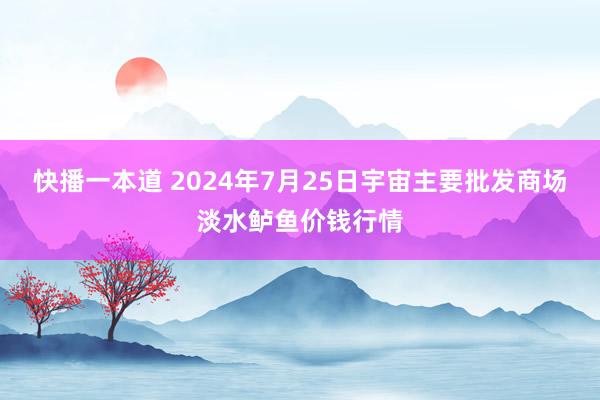 快播一本道 2024年7月25日宇宙主要批发商场淡水鲈鱼价钱行情