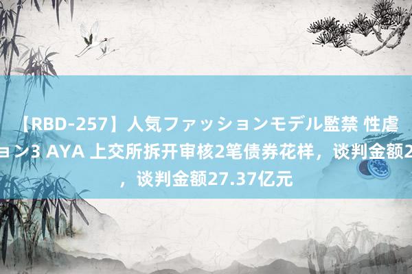 【RBD-257】人気ファッションモデル監禁 性虐コレクション3 AYA 上交所拆开审核2笔债券花样，谈判金额27.37亿元