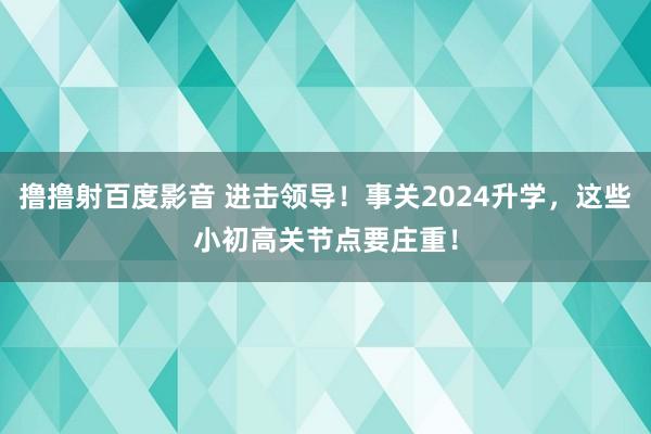 撸撸射百度影音 进击领导！事关2024升学，这些小初高关节点要庄重！