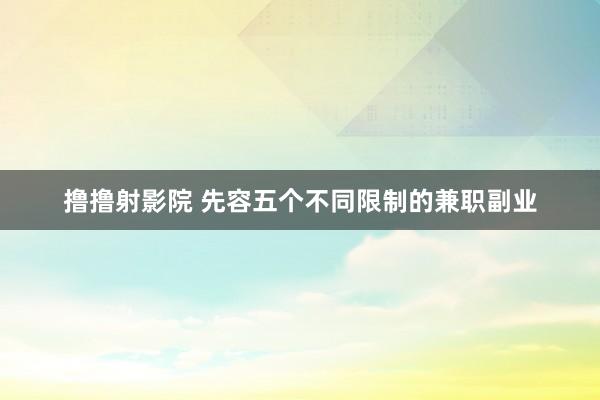 撸撸射影院 先容五个不同限制的兼职副业