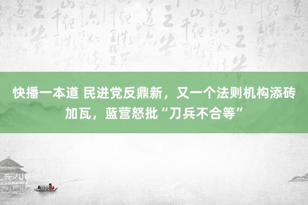 快播一本道 民进党反鼎新，又一个法则机构添砖加瓦，蓝营怒批“刀兵不合等”