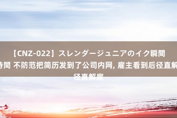 【CNZ-022】スレンダージュニアのイク瞬間 4時間 不防范把简历发到了公司内网， 雇主看到后径直解雇