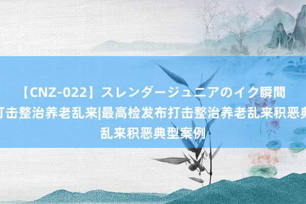 【CNZ-022】スレンダージュニアのイク瞬間 4時間 打击整治养老乱来|最高检发布打击整治养老乱来积恶典型案例