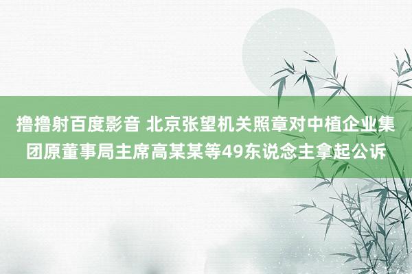 撸撸射百度影音 北京张望机关照章对中植企业集团原董事局主席高某某等49东说念主拿起公诉