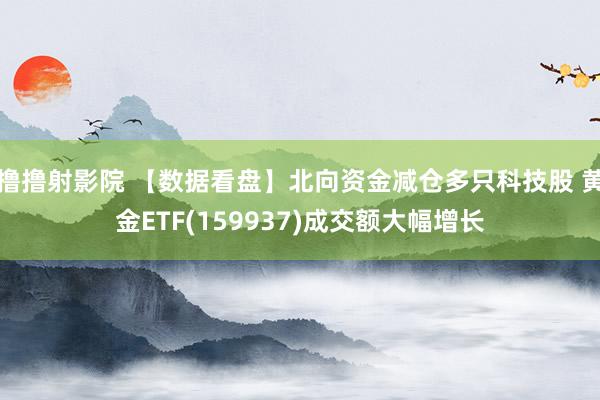 撸撸射影院 【数据看盘】北向资金减仓多只科技股 黄金ETF(159937)成交额大幅增长