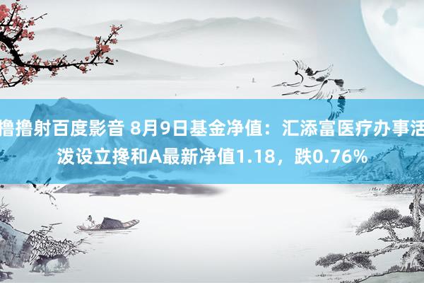 撸撸射百度影音 8月9日基金净值：汇添富医疗办事活泼设立搀和A最新净值1.18，跌0.76%