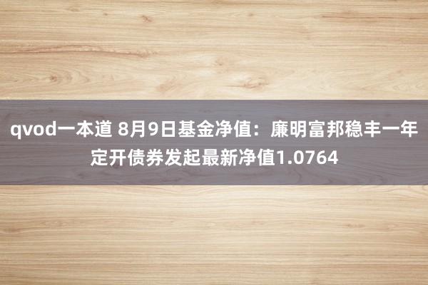 qvod一本道 8月9日基金净值：廉明富邦稳丰一年定开债券发起最新净值1.0764