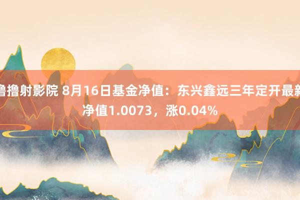 撸撸射影院 8月16日基金净值：东兴鑫远三年定开最新净值1.0073，涨0.04%