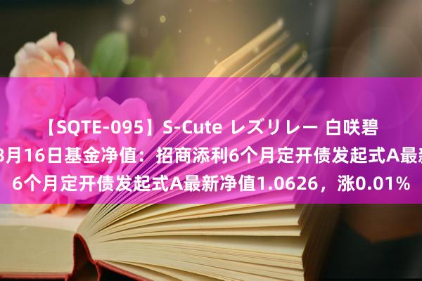 【SQTE-095】S-Cute レズリレー 白咲碧 瞳 有本沙世 彩城ゆりな 8月16日基金净值：招商添利6个月定开债发起式A最新净值1.0626，涨0.01%