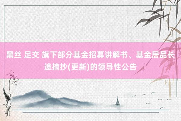 黑丝 足交 旗下部分基金招募讲解书、基金居品长途摘抄(更新)的领导性公告