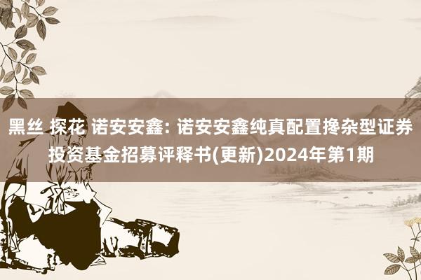 黑丝 探花 诺安安鑫: 诺安安鑫纯真配置搀杂型证券投资基金招募评释书(更新)2024年第1期