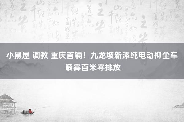 小黑屋 调教 重庆首辆！九龙坡新添纯电动抑尘车 喷雾百米零排放