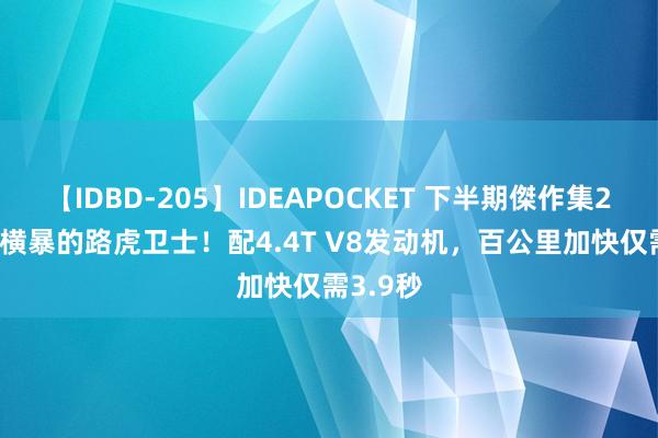 【IDBD-205】IDEAPOCKET 下半期傑作集2009 好横暴的路虎卫士！配4.4T V8发动机，百公里加快仅需3.9秒