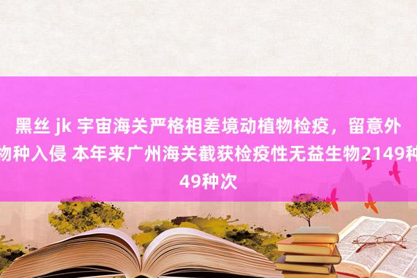 黑丝 jk 宇宙海关严格相差境动植物检疫，留意外来物种入侵 本年来广州海关截获检疫性无益生物2149种次