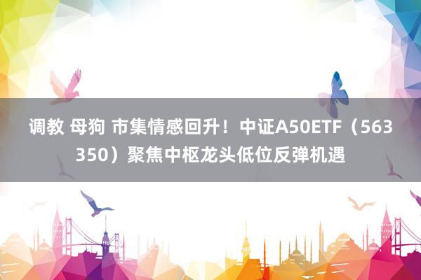 调教 母狗 市集情感回升！中证A50ETF（563350）聚焦中枢龙头低位反弹机遇