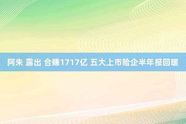 阿朱 露出 合赚1717亿 五大上市险企半年报回暖