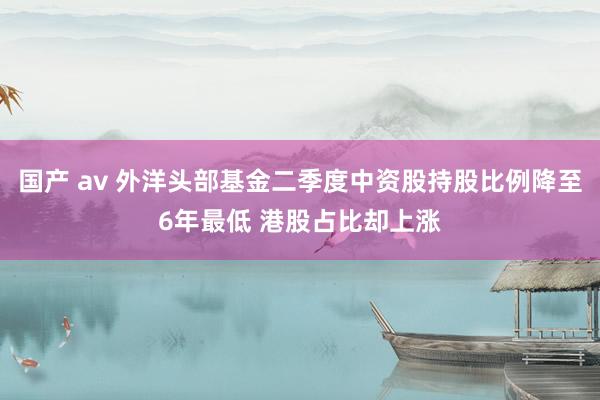 国产 av 外洋头部基金二季度中资股持股比例降至6年最低 港股占比却上涨