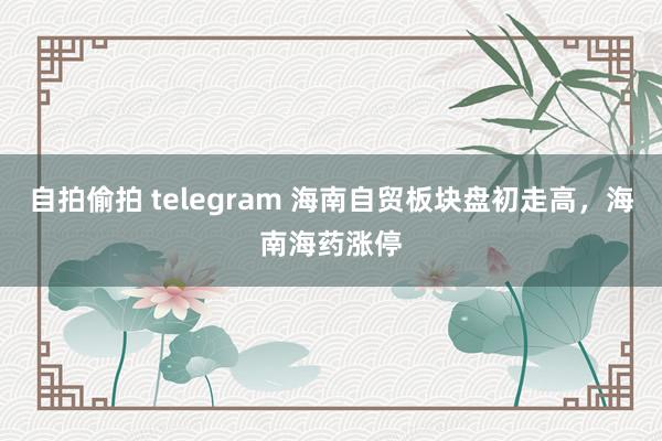 自拍偷拍 telegram 海南自贸板块盘初走高，海南海药涨停