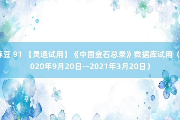 麻豆 91 【灵通试用】《中国金石总录》数据库试用（2020年9月20日--2021年3月20日）